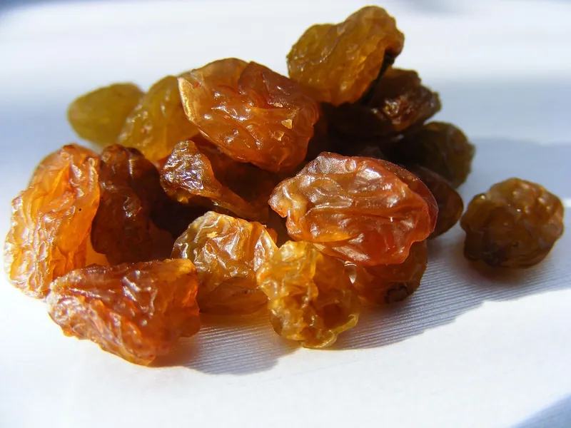 Close-up of plump golden raisins (kishmish)